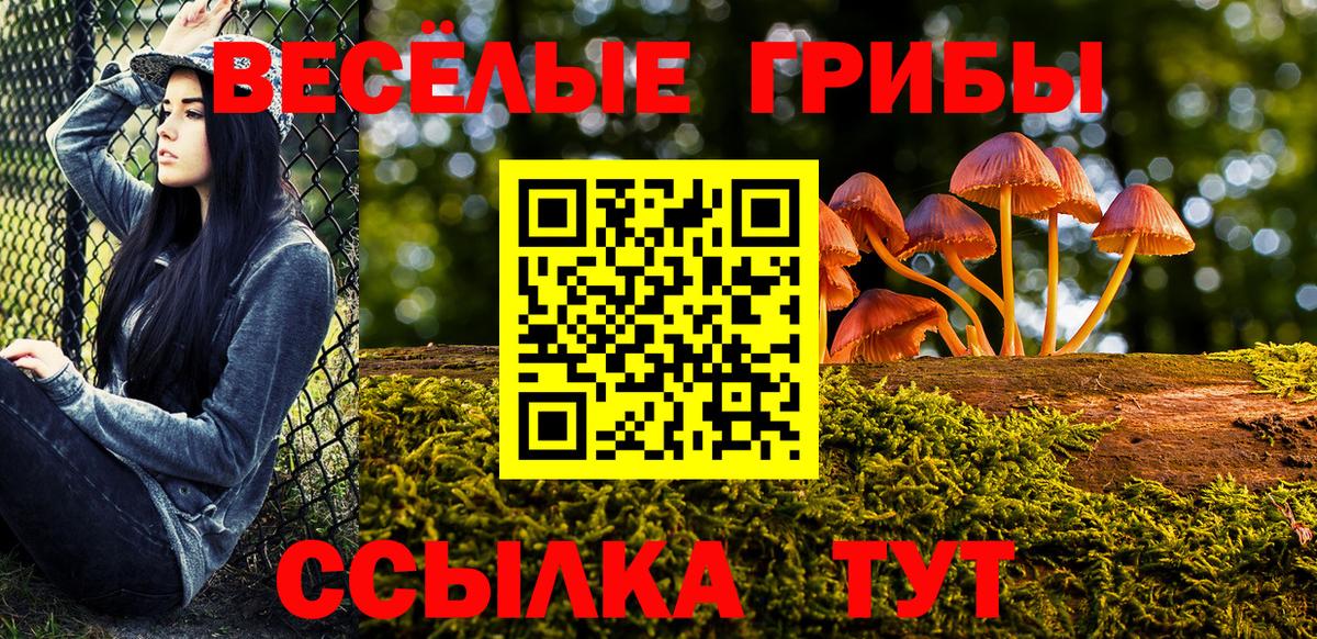 Галлюциногенные грибы ЛСД  Вход с VPN  Галлюциногенные грибы MAGIC MUSHROOMS  Кстово 