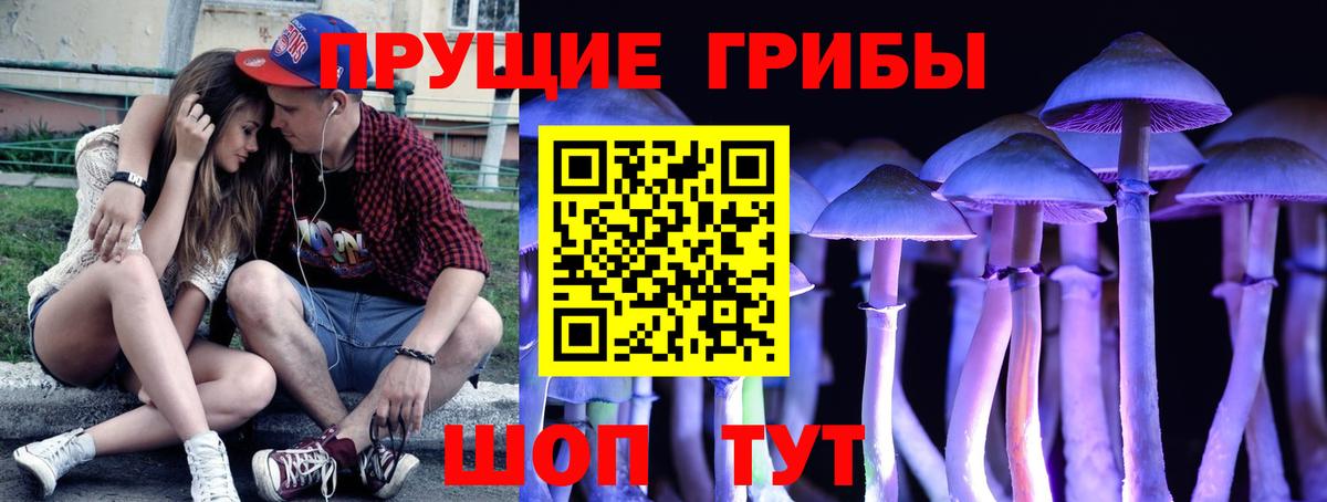 Псилоцибиновые грибы ЛСД Кстово